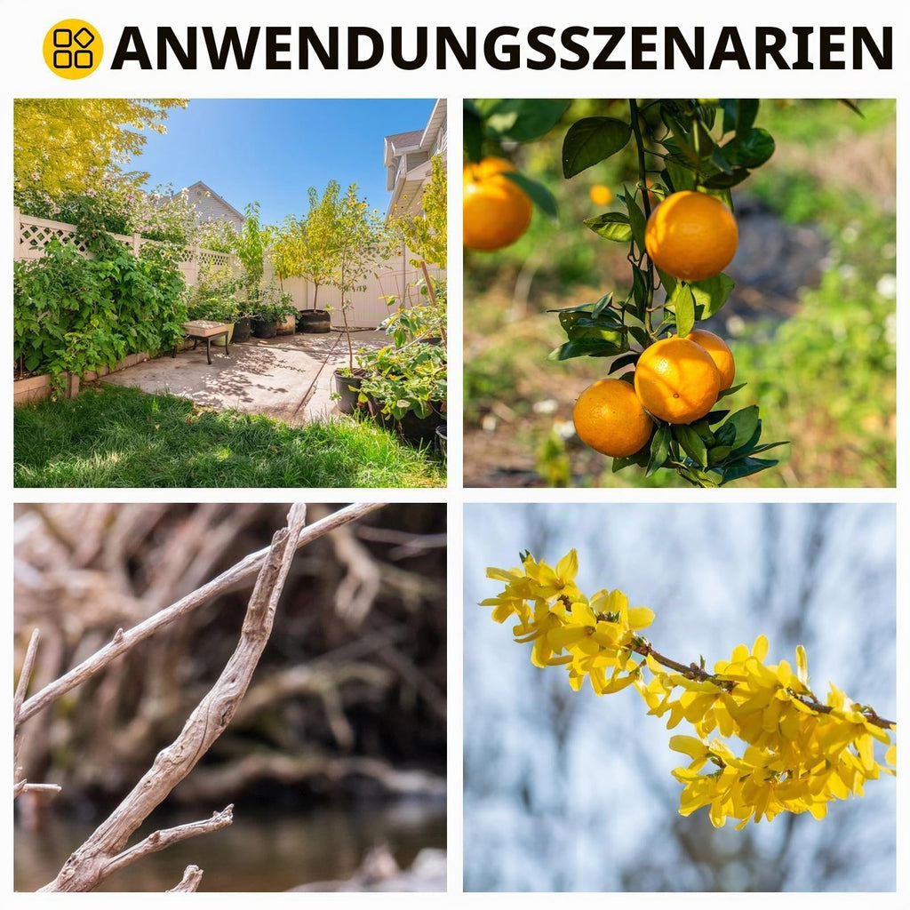 Akku Gartenschere, 40MM Elektrische Astschere mit 2 x 2Ah Batterien & LCD Display, Akku Rosenschere Unterstützt die Einstellung der Öffnung für Beschneiden von Hecken & Obstbäumen