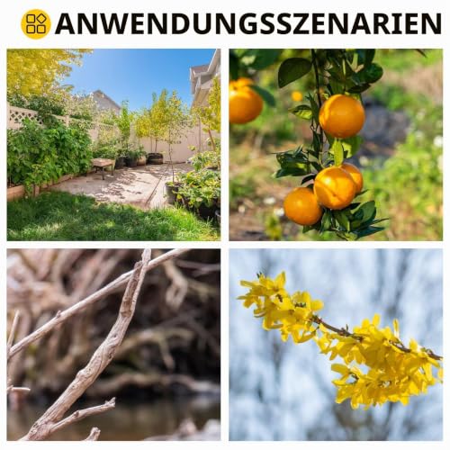 Akku Gartenschere, 40MM Elektrische Astschere mit 2 x 2Ah Batterien & LCD Display, Akku Rosenschere Unterstützt die Einstellung der Öffnung für Beschneiden von Hecken & Obstbäumen