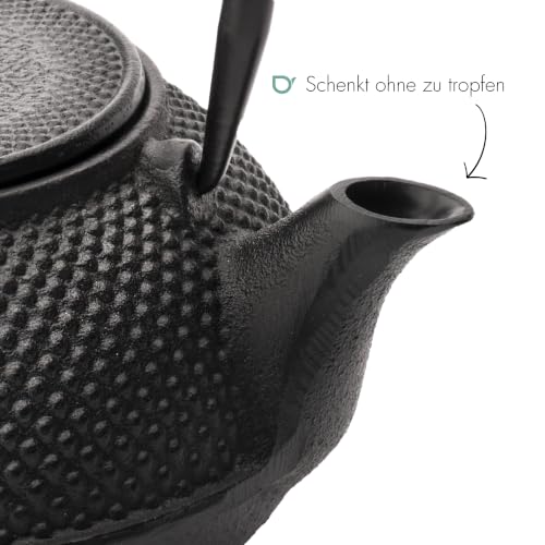 Bredemeijer Japanische Teekanne mit Siebeinsatz Jang 1,1 Liter- Schwarz