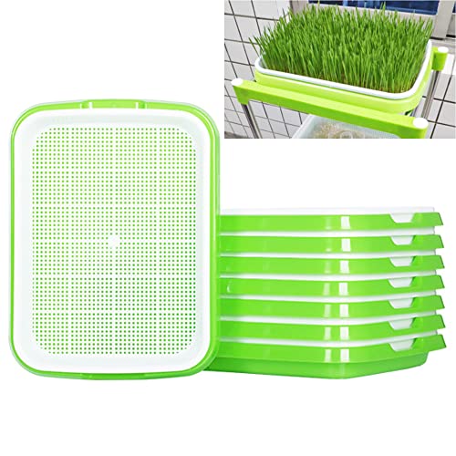 5 Stück Keimung Tablett Kunststoff Samen Keimung Tablett 34 * 25 * 4cm Plastik Seed Sprouter Hoch atmungsaktive Seed Starter Tray Dauerhaft Kresse Keimschale für Verschiedene Samen (Grün)