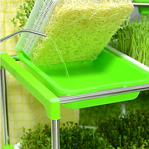 5 Stück Keimung Tablett Kunststoff Samen Keimung Tablett 34 * 25 * 4cm Plastik Seed Sprouter Hoch atmungsaktive Seed Starter Tray Dauerhaft Kresse Keimschale für Verschiedene Samen (Grün)