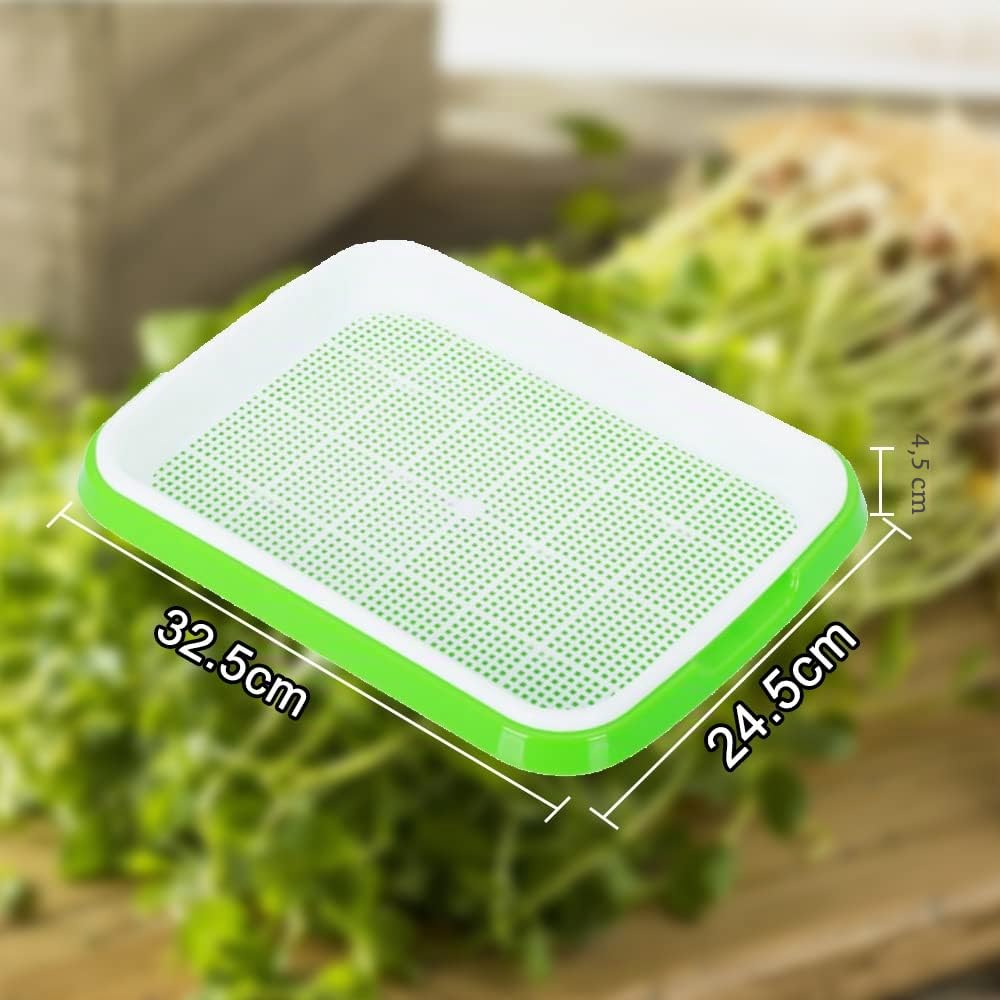 5 Stück Keimung Tablett Kunststoff Samen Keimung Tablett 34 * 25 * 4cm Plastik Seed Sprouter Hoch atmungsaktive Seed Starter Tray Dauerhaft Kresse Keimschale für Verschiedene Samen (Grün)
