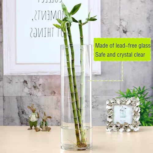 TSKDKIT Glas Blumenvase Modern Zylinder Vase, Handgemacht Kristall Vasen 40cm Hoch, Kerzenhalter Glas Blumenblume Pflanzenbehälter für Home Office Dekor, Tischdeko, Geburtstagsgeschenk