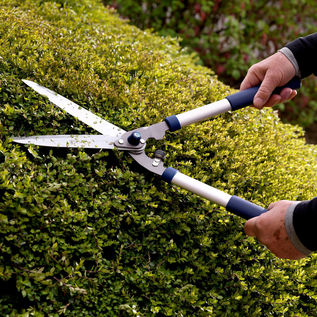 Spear & Jackson 8170RS Razorsharp Getriebe-Heckenschere – Einfaches Schneiden von Hecken & Sträuchern, 200 mm PTFE-beschichtete Kohlenstoffstahlklingen, Getriebeantrieb, Aluminiumgriffe mit Softgriff