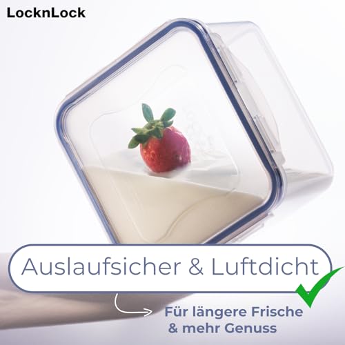 LocknLock PP Classic Aufbewahrungsbox luftdicht mit Griff & Ablaufgitter| 6,5L | 29,5 x 23 x 13,8 cm | 100 % luft- und wasserdichter Vorratsbehälter mit Deckel | Gefrierfeste Aufbewahrungsdose