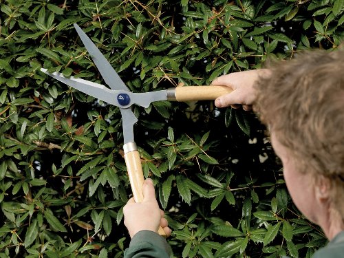 Spear & Jackson 4868SS Razorsharp Schere mit Holzgriff