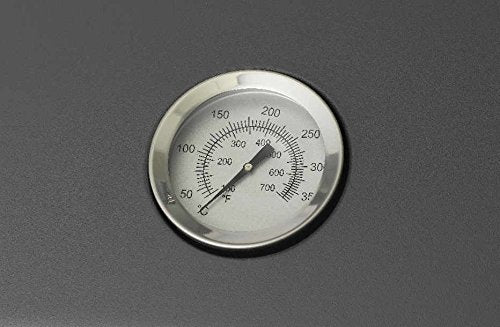 tepro Tischgasgrill Abington (klein), 1 Brenner mit max. 3,2 kW Leistung, Piezozündung, Thermometer, Maße ca. 102 x 46,2 x 38 cm, Anthrazit / Schwarz