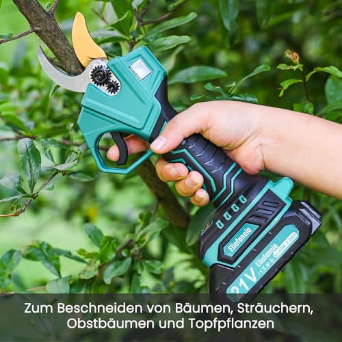 Akku Astschere Akku Baumschere,Max 30MM Schnittdurchmesser,Professionelle Elektrische Gartenschere mit Sicherheitsschalter 2x2000mAh 21V Batterien,LCD Anzeige,Ladegerät,für 6-8 Arbeitsstunden
