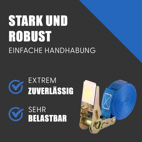 Safetytex Spanngurt 800 daN einteilig 25 mm 4-6 m Ratsche (10 Stück / 6m)