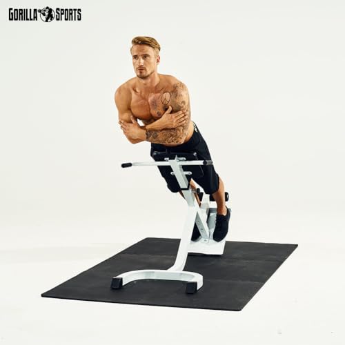 GORILLA SPORTS® Rückentrainer, 5-fach verstellbar, bis 120 kg,Schwarz/Weiß