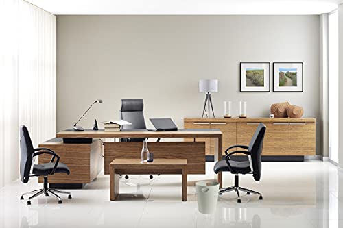 Exacompta 45306D ECOBIN Papierkorb 15 Liter mit Griffen. Eleganter und robuster Papierkorb und Mülleimer im modernen Design grau
