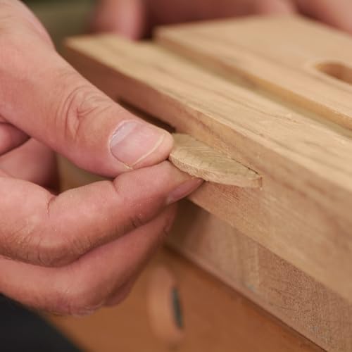 Trend 100 Stück Buchenholz Verbindungsplättchen (Nr. 20) für Holzbearbeitung, Tischlerei und Möbelbau, BSC/20/100