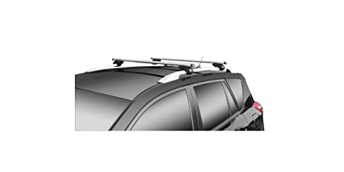 HP-Autozubehör 12174 Brio Relingträger für Geländewagen