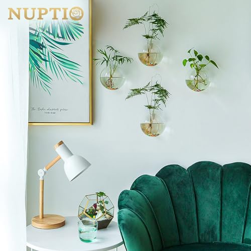 NUPTIO Glas Wandvase Modernes für Pflanzen: Wandbehang Glasvase 4er-Set