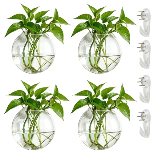 NUPTIO Glas Wandvase Modernes für Pflanzen: Wandbehang Glasvase 4er-Set