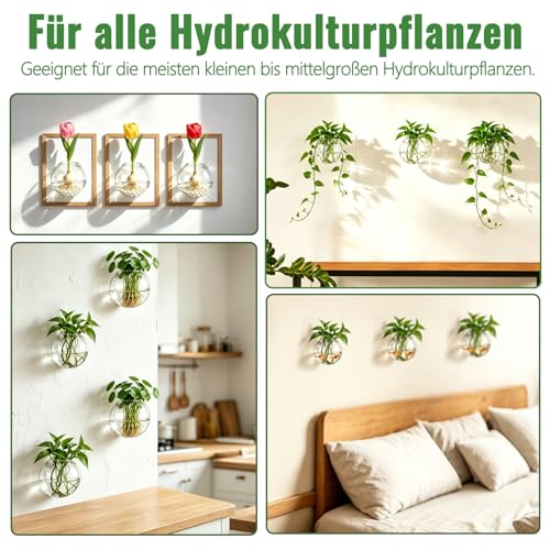 NUPTIO Glas Wandvase Modernes für Pflanzen: Wandbehang Glasvase 4er-Set