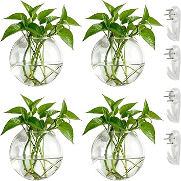 NUPTIO Glas Wandvase Modernes für Pflanzen: Wandbehang Glasvase 4er-Set