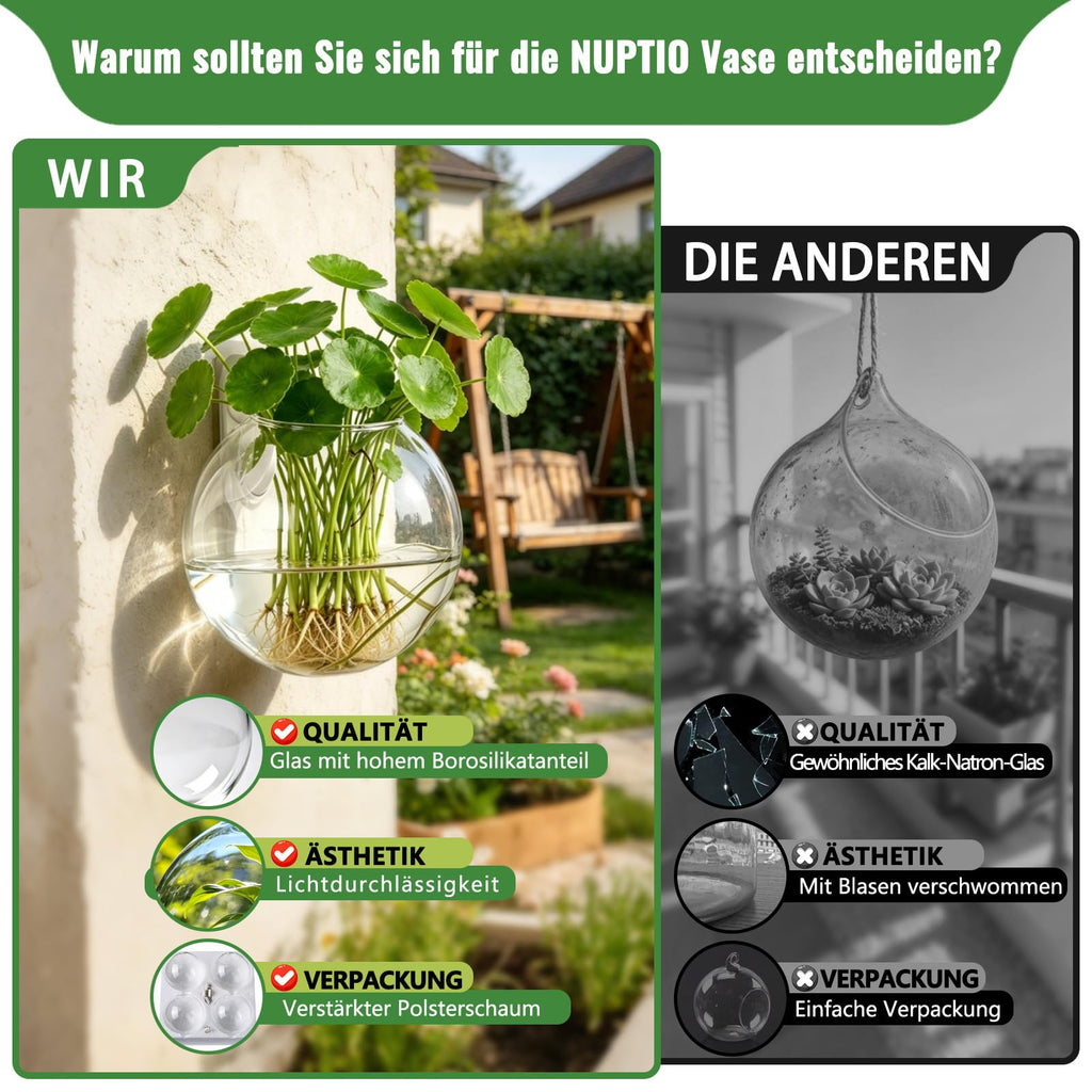 NUPTIO Glas Wandvase Modernes für Pflanzen: Wandbehang Glasvase 4er-Set