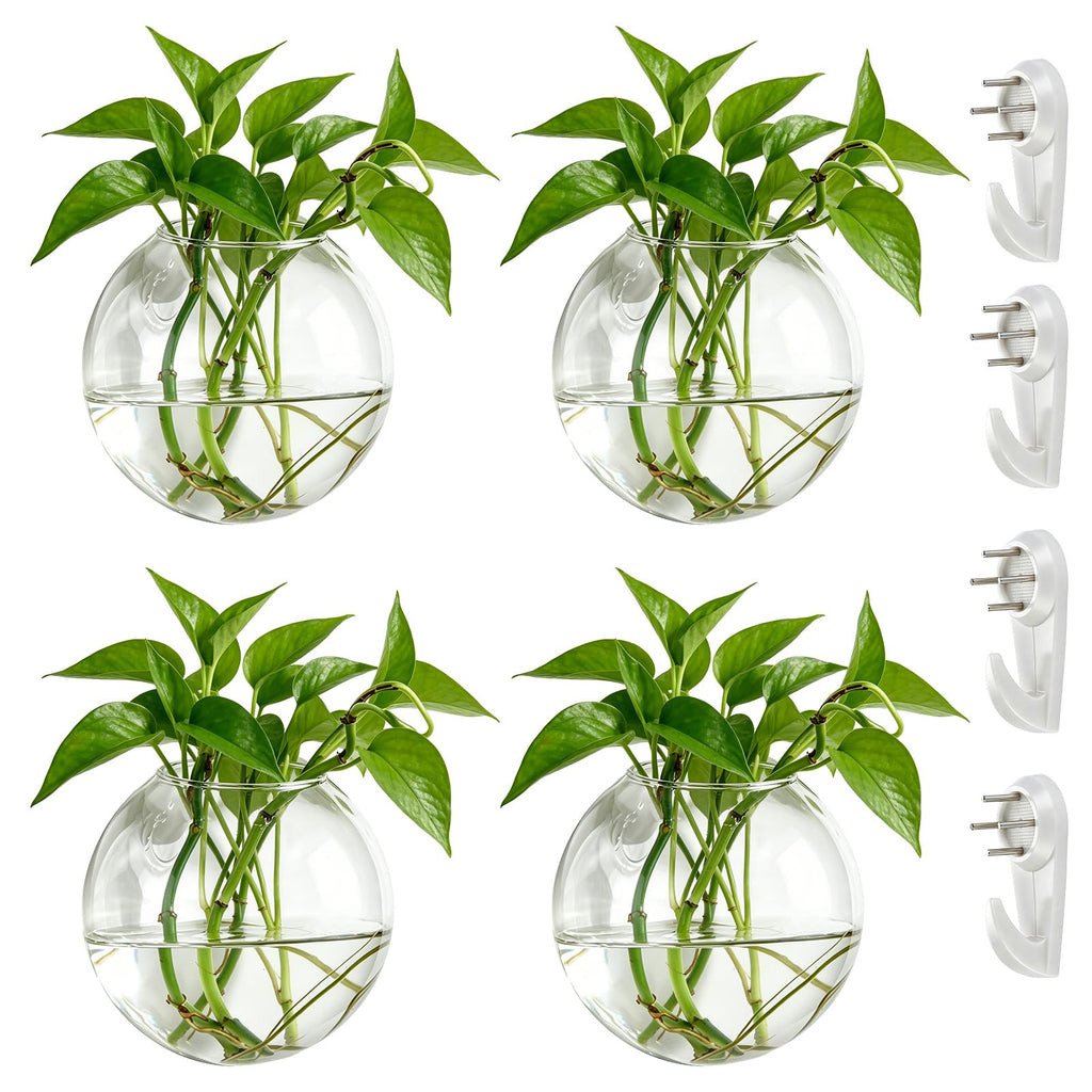 NUPTIO Glas Wandvase Modernes für Pflanzen: Wandbehang Glasvase 4er-Set