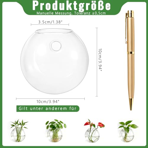 NUPTIO Glas Wandvase Modernes für Pflanzen: Wandbehang Glasvase 4er-Set
