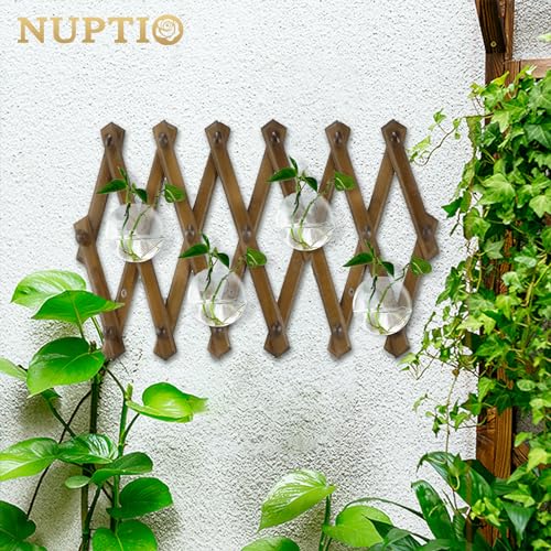 NUPTIO Glas Wandvase Modernes für Pflanzen: Wandbehang Glasvase 4er-Set