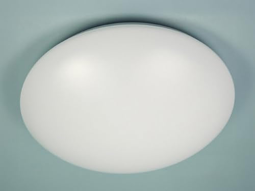 Niermann Standby Deckenleuchte 29 cm, 1 flammige Wandleuchte, Deckenleuchte aus Stahl und Kunststoff, Farbe: Weiß, Fassung: E27, für Bad, Flur, Keller, Garage, Treppenhaus