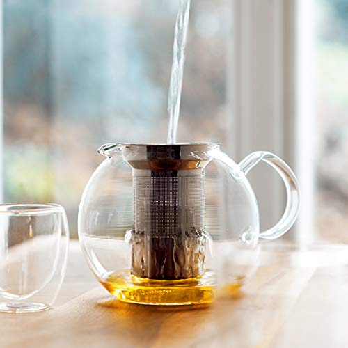 Bodum 1801-16 Assam Teebereiter mit Edelstahlfilter, 1.0 l