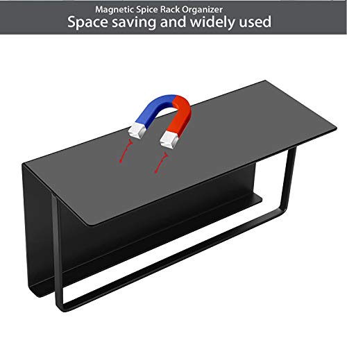 DoDuo Kühlschrankregal, 2-teilig, magnetisch, Gewürzregal, Kühlschrank, magnetisch, platzsparend, Platz für die Küche