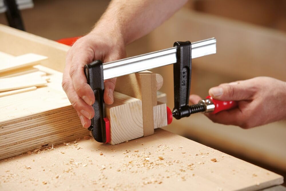 BESSEY Tempergusszwinge TPN10BE | 100 mm Spannweite | 50 mm Ausladung