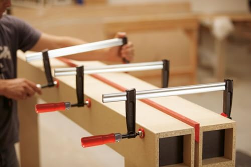 BESSEY Tempergusszwinge TPN10BE | 100 mm Spannweite | 50 mm Ausladung