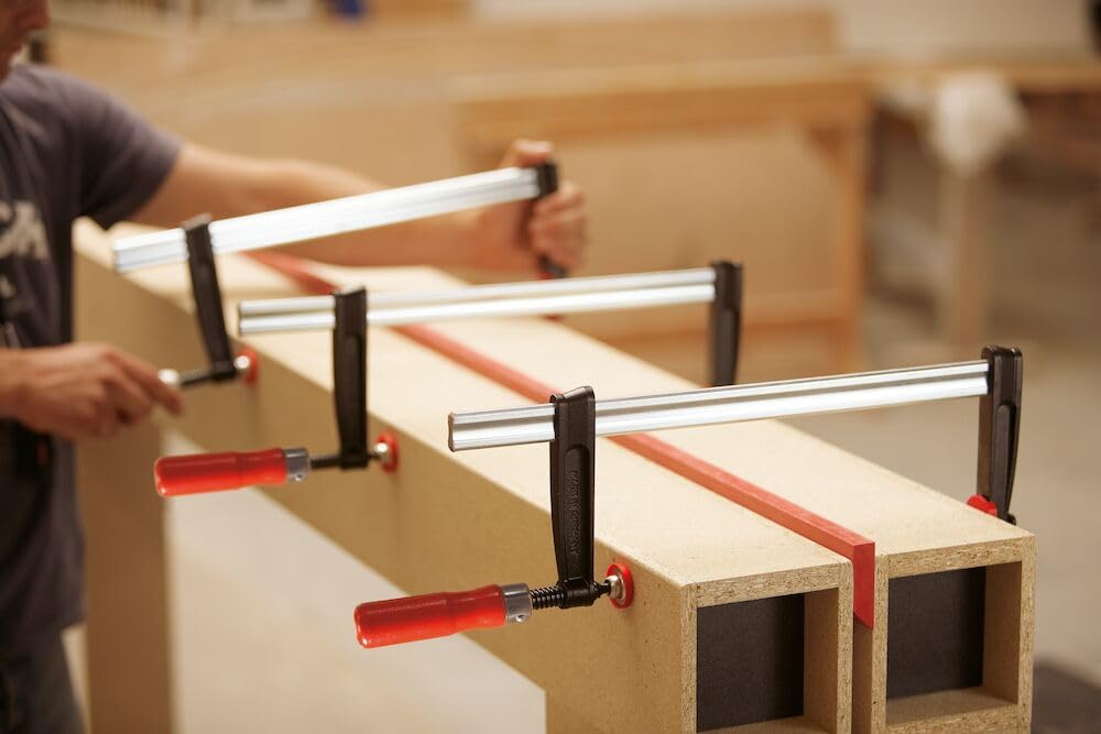 BESSEY Tempergusszwinge TPN10BE | 100 mm Spannweite | 50 mm Ausladung