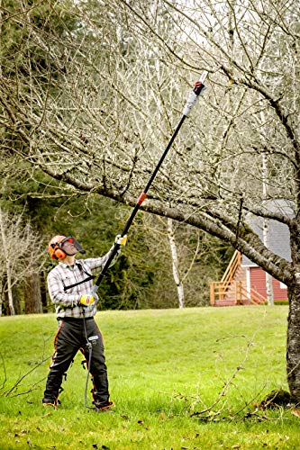 Oregon PS750 230V elektrische Säge mit Teleskopstange