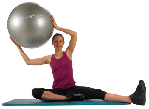 Sveltus Gymball