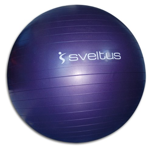 Sveltus Gymball