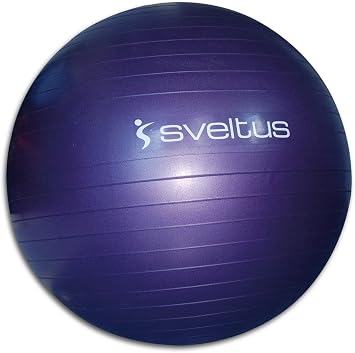 Sveltus Gymball
