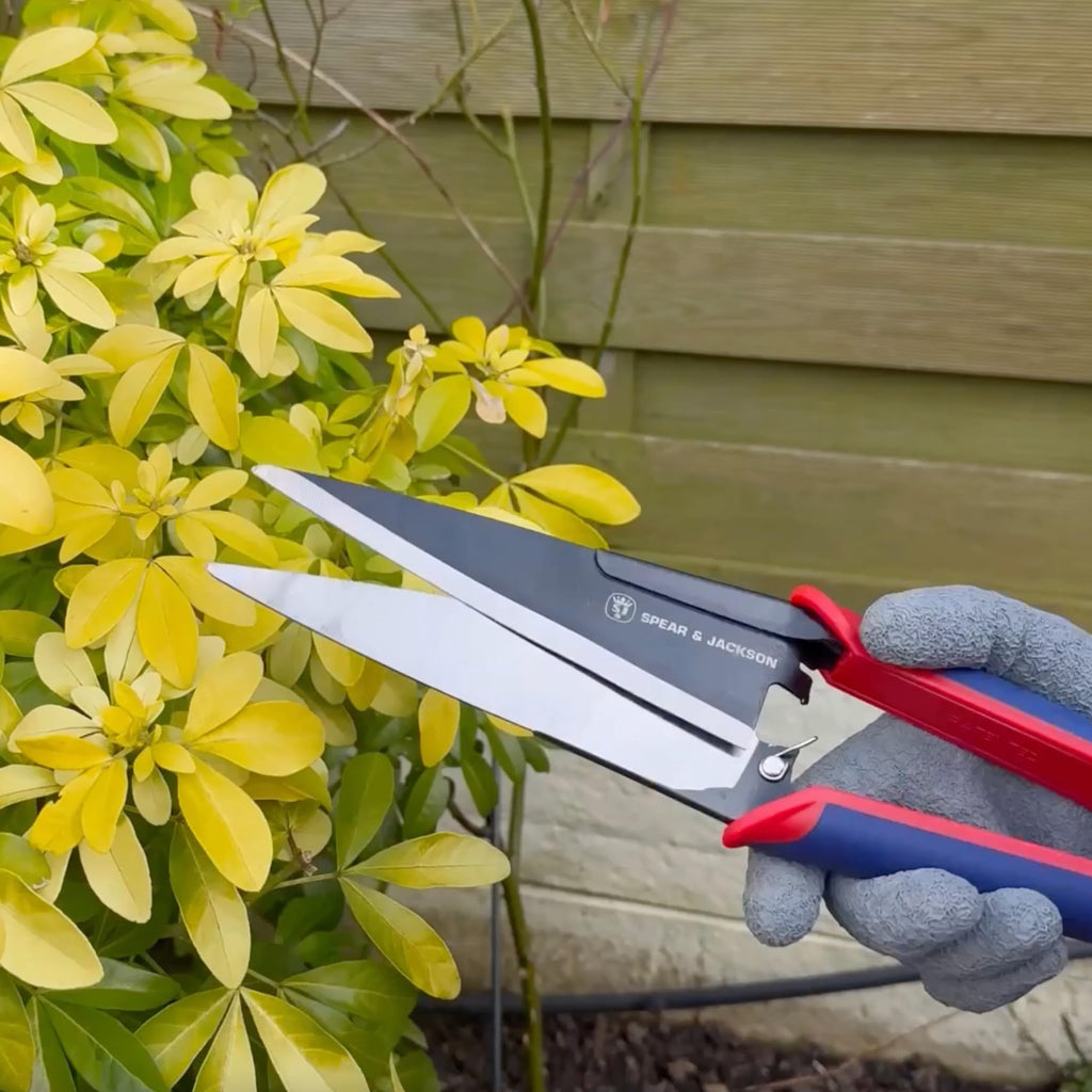 Spear & Jackson 4855TS Razorsharp Advantage Buchsbaumschere, 178 mm Klingen aus kohlenstoffreichem Stahl, Einhand-Formschnittschere für Buchsbaum, Formschnitt & Ziersträucher