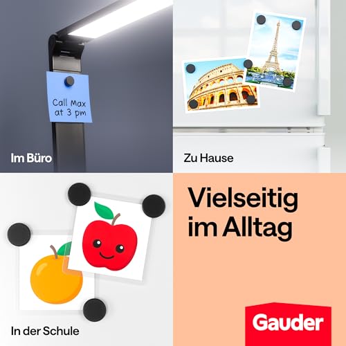 GAUDER Magnete für Magnettafel, Whiteboard & Kühlschrank (62 Stück 18x5mm)