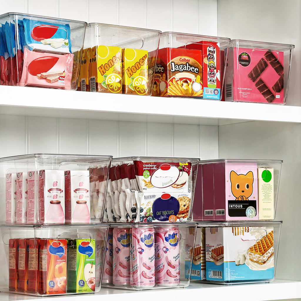 Vtopmart 6 Stück Aufbewahrungsboxen mit Deckel, Ordnungsboxen Stapelboxen-L