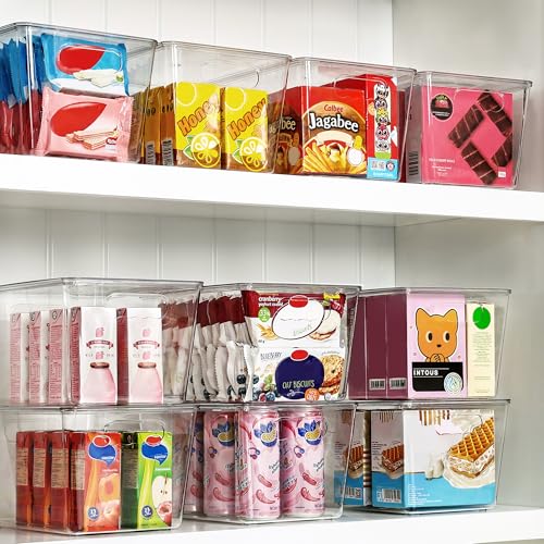 Vtopmart 6 Stück Aufbewahrungsboxen mit Deckel, Ordnungsboxen Stapelboxen-L