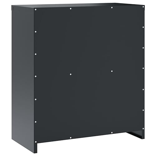 Aktenschrank Anthrazit aus pulverbeschichtetem Stahl 79x40x90 cm abschließbar Büroschrank mit Regal für Dokumentenschrank und Ordnerschrank Büro Arbeitszimmer Homeoffice