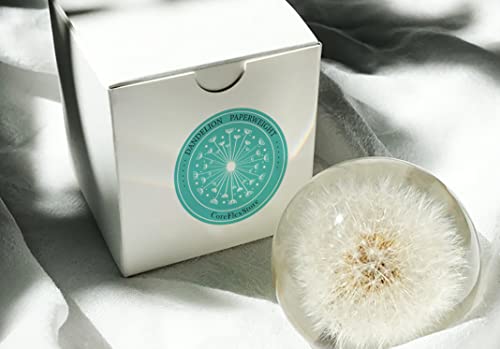 COREFLEX Echter Pusteblumen-Briefbeschwerer, Löwenzahn in Harzkugel in Geschenkbox, 70 mm, Heimbüro, Desktop-Dekoration, Geburtstag, Hochzeitsgeschenk und Valentinstag