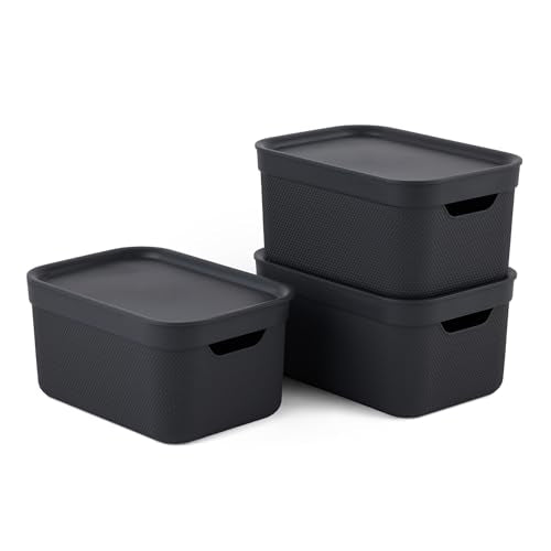 Rotho Jive Aufbewahrungsbox mit Deckel 3 x 5 L stapelbar aus PP dunkelgrau