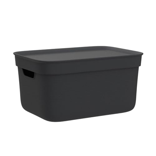 Rotho Jive Aufbewahrungsbox mit Deckel 3 x 5 L stapelbar aus PP dunkelgrau
