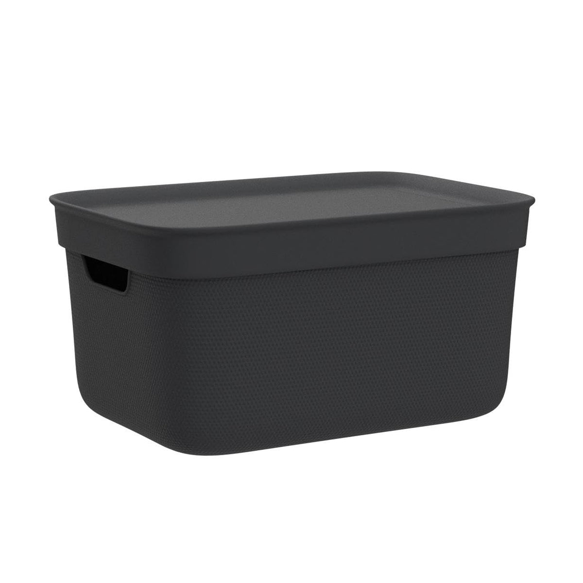 Rotho Jive Aufbewahrungsbox mit Deckel 3 x 5 L stapelbar aus PP dunkelgrau