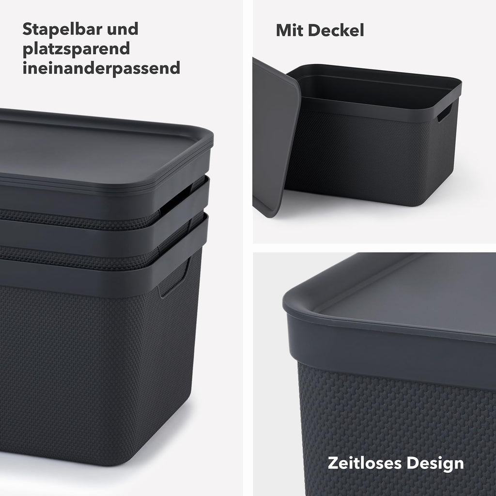 Rotho Jive Aufbewahrungsbox mit Deckel 3 x 5 L stapelbar aus PP dunkelgrau