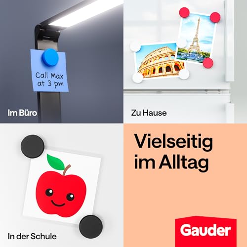 GAUDER Magnete für Magnettafel & Kühlschrank (31x10mm - 12 STK - bunt)