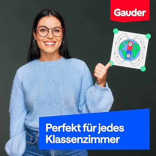 GAUDER Magnete für Magnettafel & Kühlschrank (31x10mm - 12 STK - bunt)