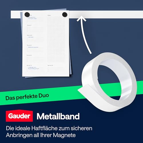 GAUDER Magnete für Magnettafel, Whiteboard & Kühlschrank (100 Stück 12x5mm)