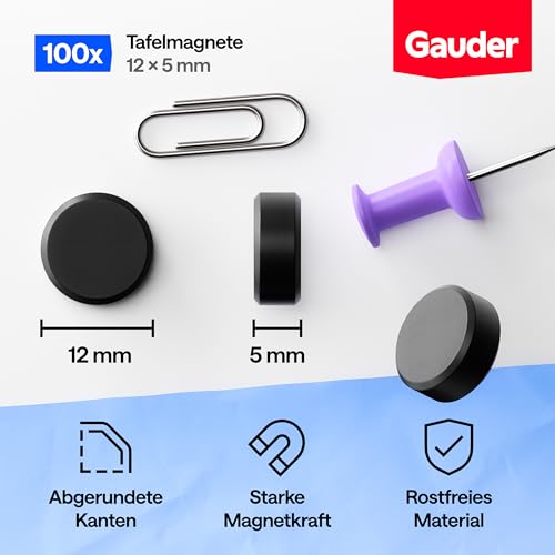 GAUDER Magnete für Magnettafel, Whiteboard & Kühlschrank (100 Stück 12x5mm)