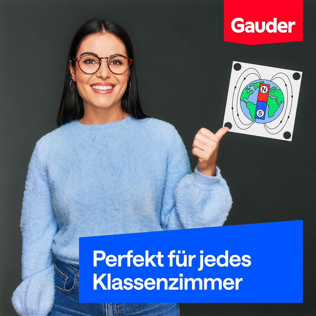 GAUDER Magnete für Magnettafel, Whiteboard & Kühlschrank (100 Stück 12x5mm)